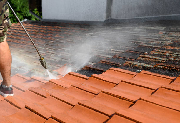 Why Choose Our Certified Pressure Washing Experts for Your Project Needs in Pajaro, CA?