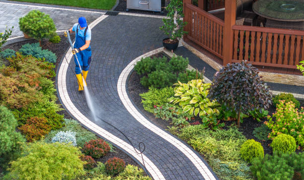 Best House Pressure Washing  in Pajaro, CA